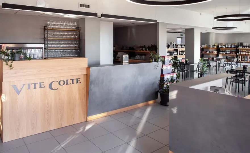 Vite Colte Barolo: la guida completa per capirla davvero