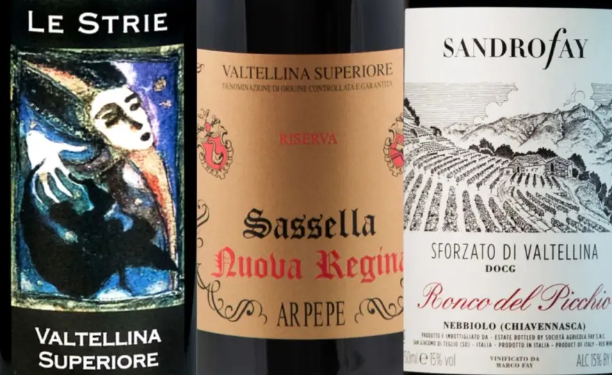 Vini Valtellina - Guida alla degustazione perfetta