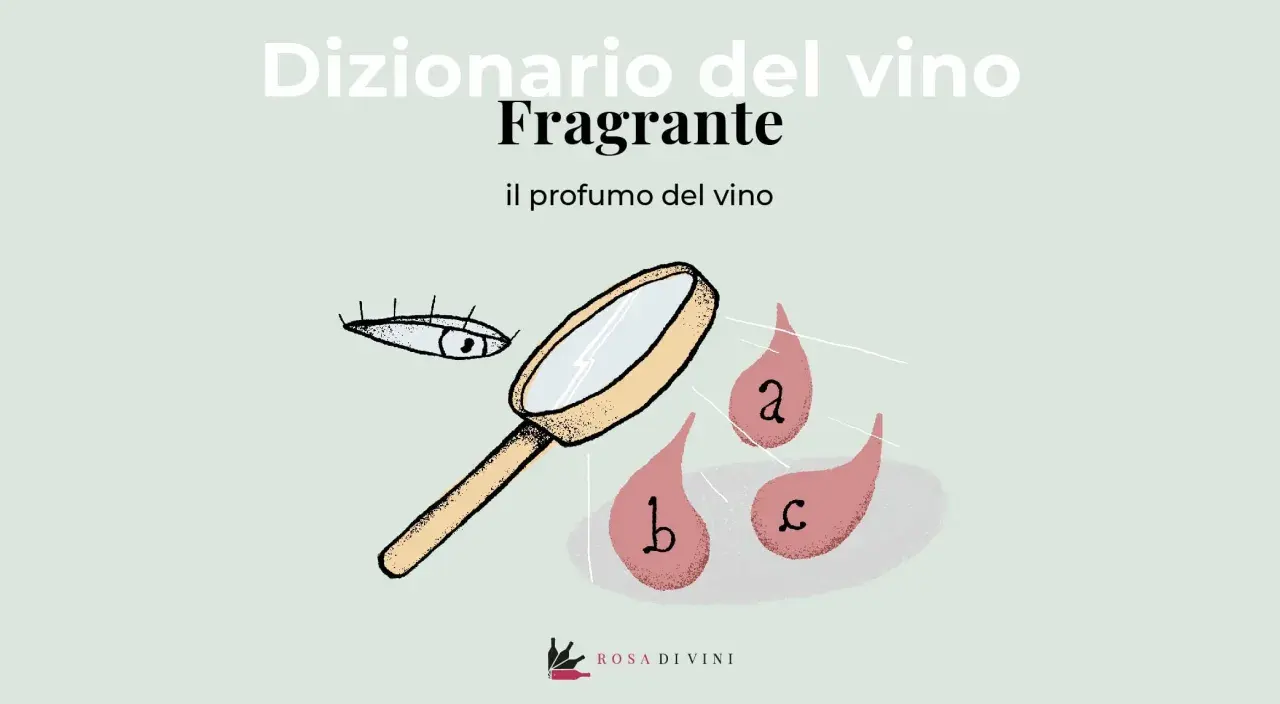 Dizionario del vino: "Fragrante" il profumo del vino. Un occhio e una lente d'ingrandimento analizzano gocce con lettere a, b, c.
