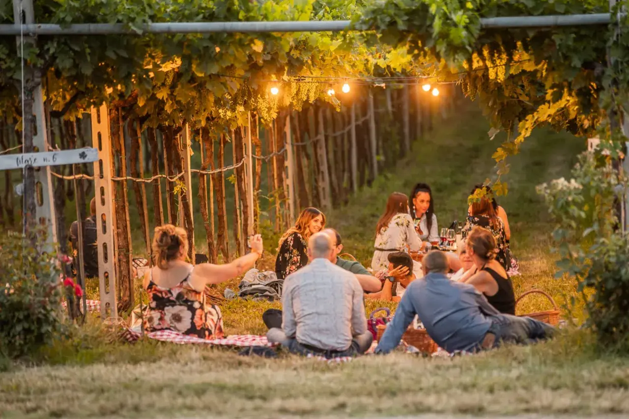 Un gruppo di amici gode di un magico aperitivo in vigna in Veneto, tra filari illuminati da lucine e il profumo dell'estate.
