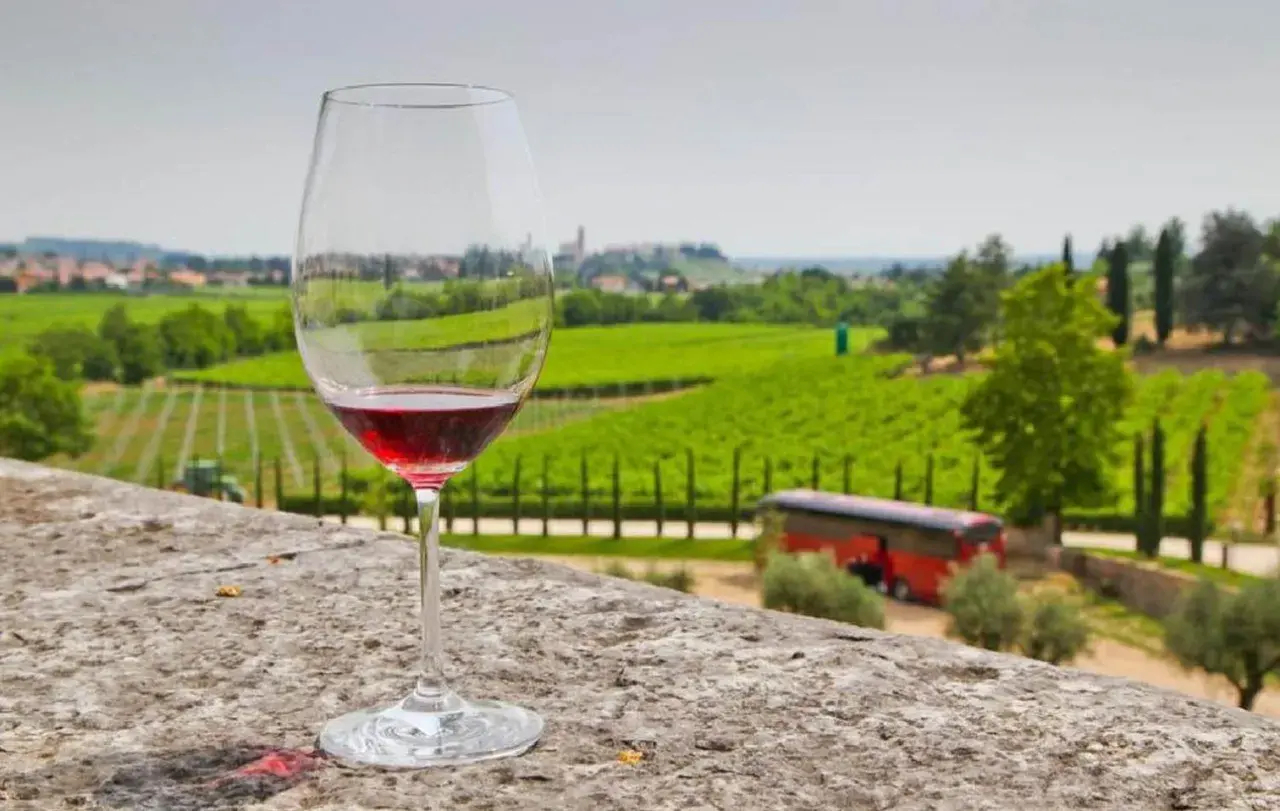 Un calice di vino rosso, con il suo intenso colore che evoca il **Recioto significato**, si staglia su un paesaggio di vigneti verdi e dolci colline.