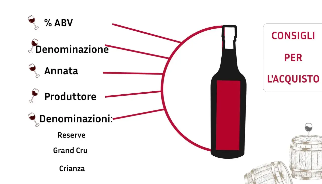 Scheda informativa per l'acquisto di vino: ABV, denominazione, annata, produttore e denominazioni come Reserve, Grand Cru, Crianza. Le caratteristiche del Cabernet Franc sono fondamentali per la scelta.