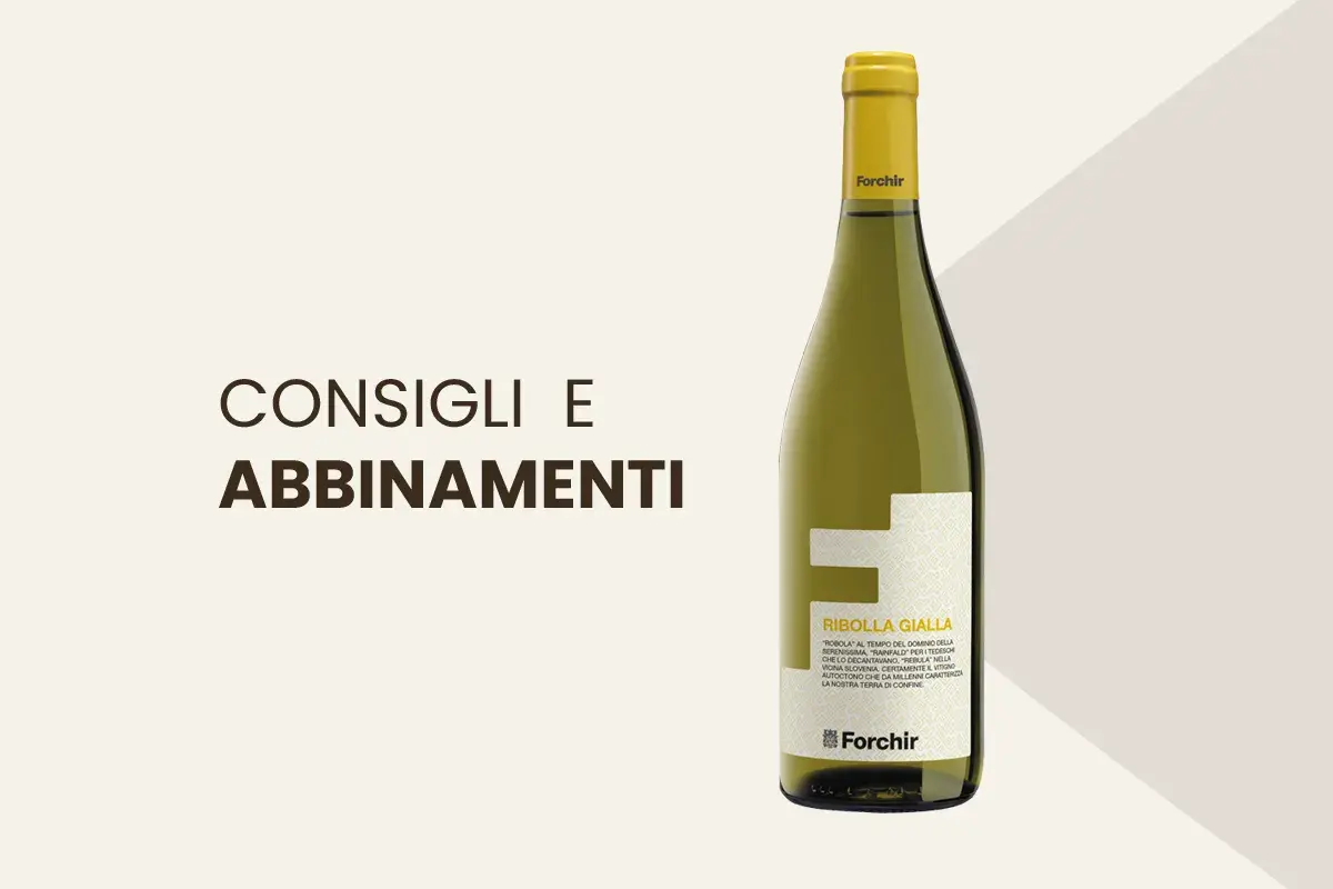 Consigli e abbinamenti per la Ribolla Gialla Forchir, un vino bianco ideale con piatti di pesce e crostacei.