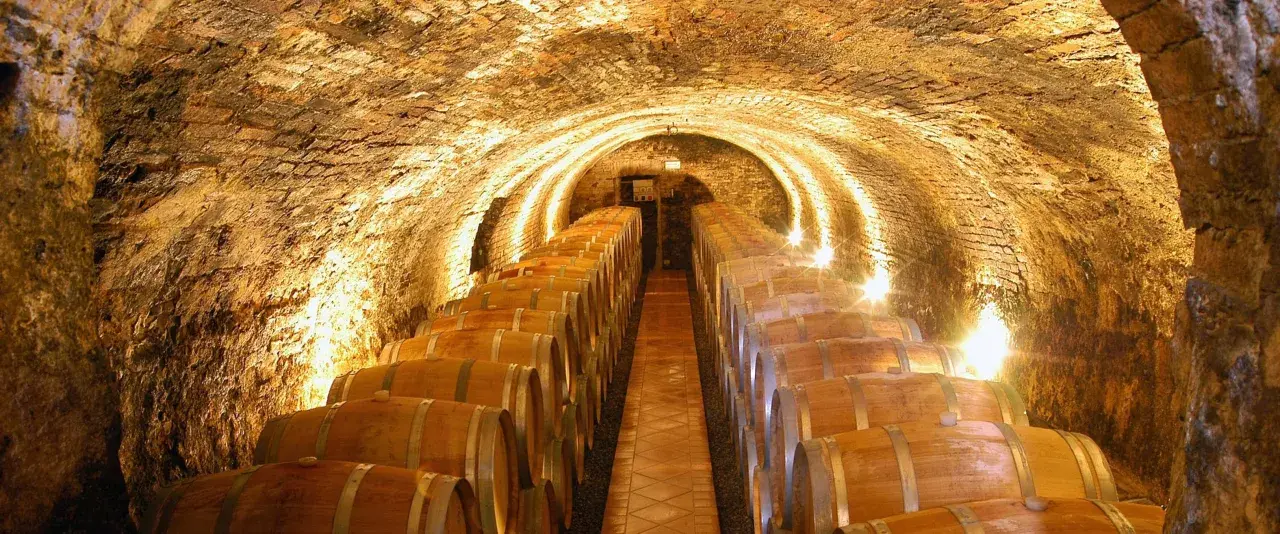 Cantine sotterranee illuminate, piene di botti di legno. Un'esperienza indimenticabile per la tua visita cantine Montalcino.