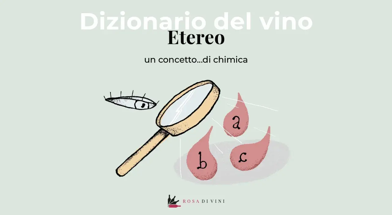 Un occhio osserva con lente d'ingrandimento gocce con lettere, esplorando l'etereo significato di un concetto chimico nel dizionario del vino.