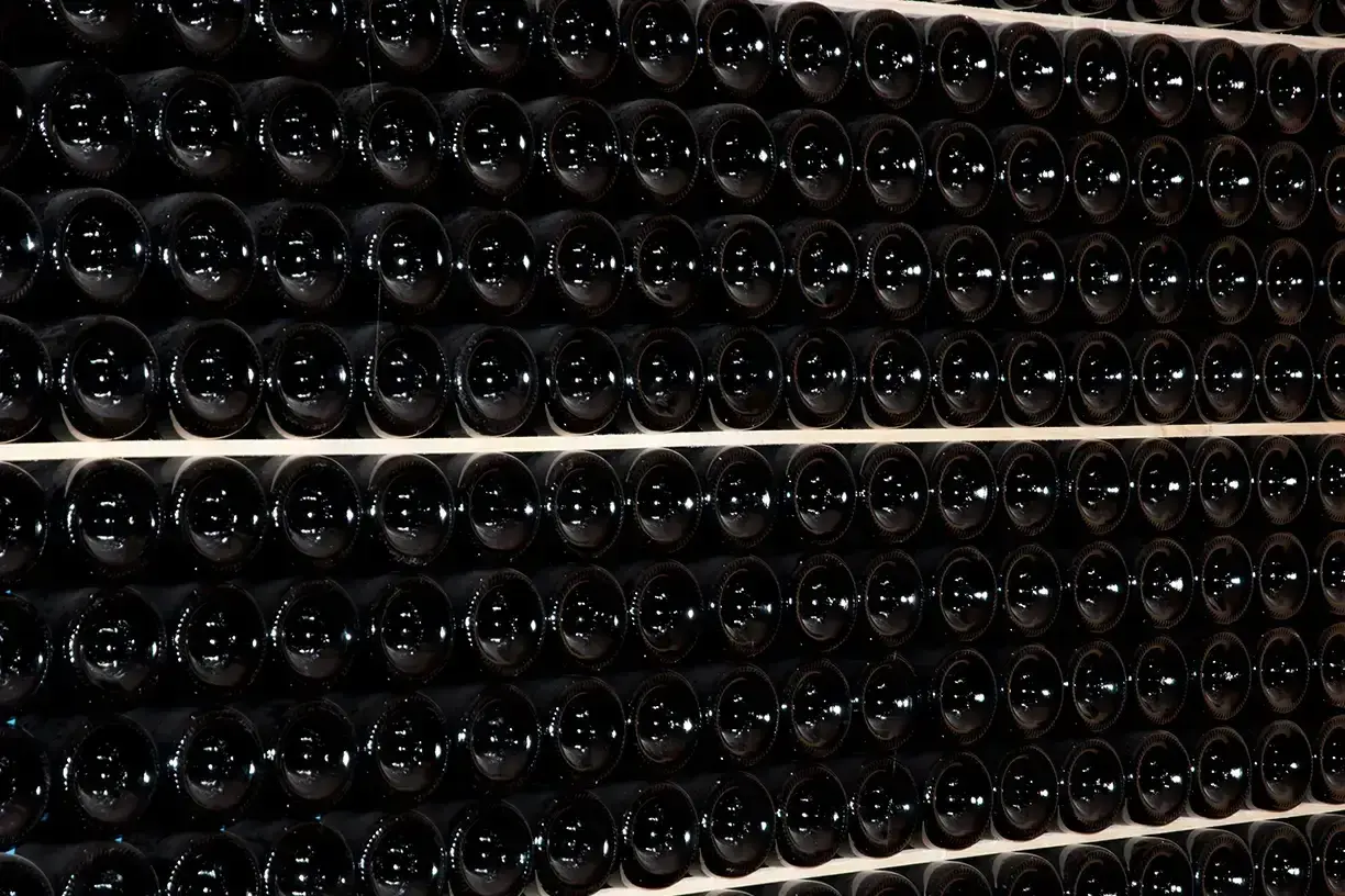 Fila di bottiglie scure, un'immagine che evoca il batonnage cos'è: la tecnica di mescolare il vino in botte per affinarlo.
