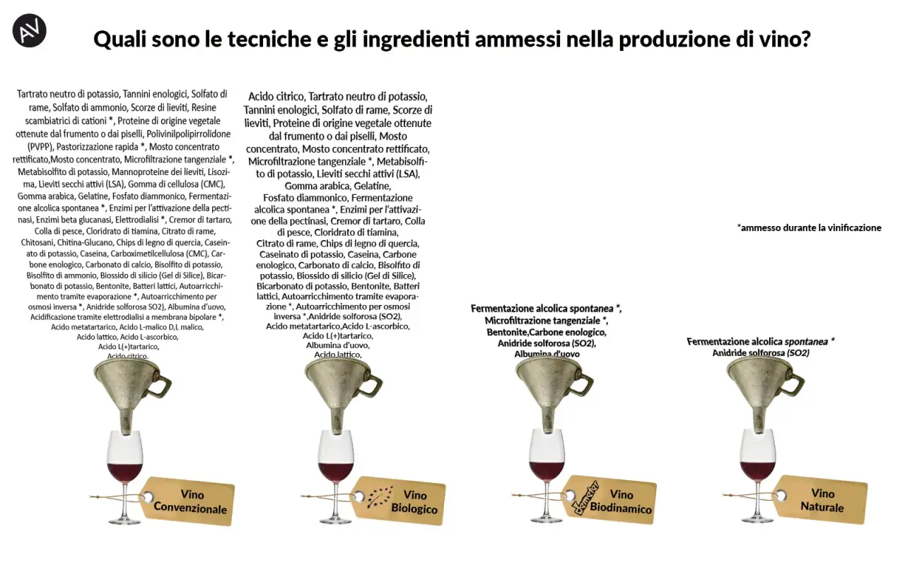 Vino biologico e biodinamico: ingredienti e tecniche. Immagine mostra diversi tipi di vino con etichette che indicano "Convenzionale", "Biologico", "Biodinamico" e "Naturale".