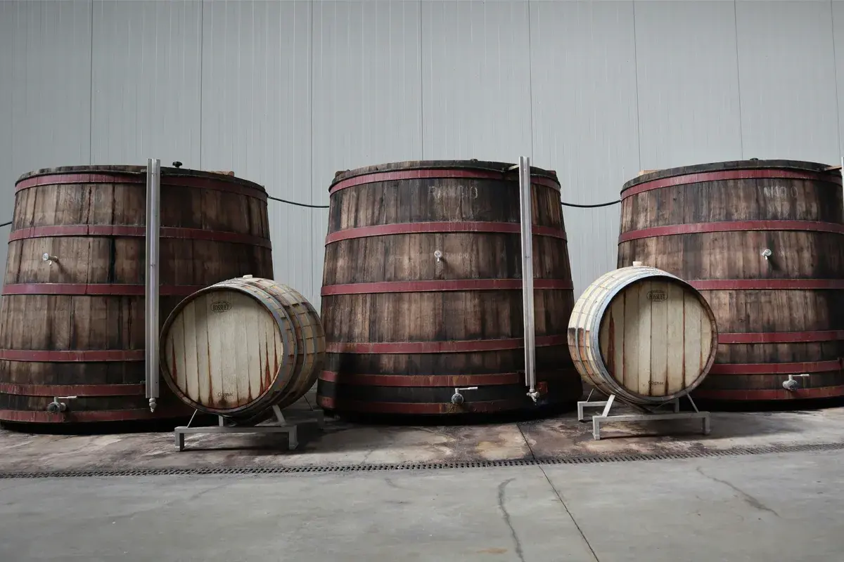 Grandi botti di legno e barili più piccoli, pronti per l'affinamento del vino. Un'atmosfera di tradizione e pazienza.