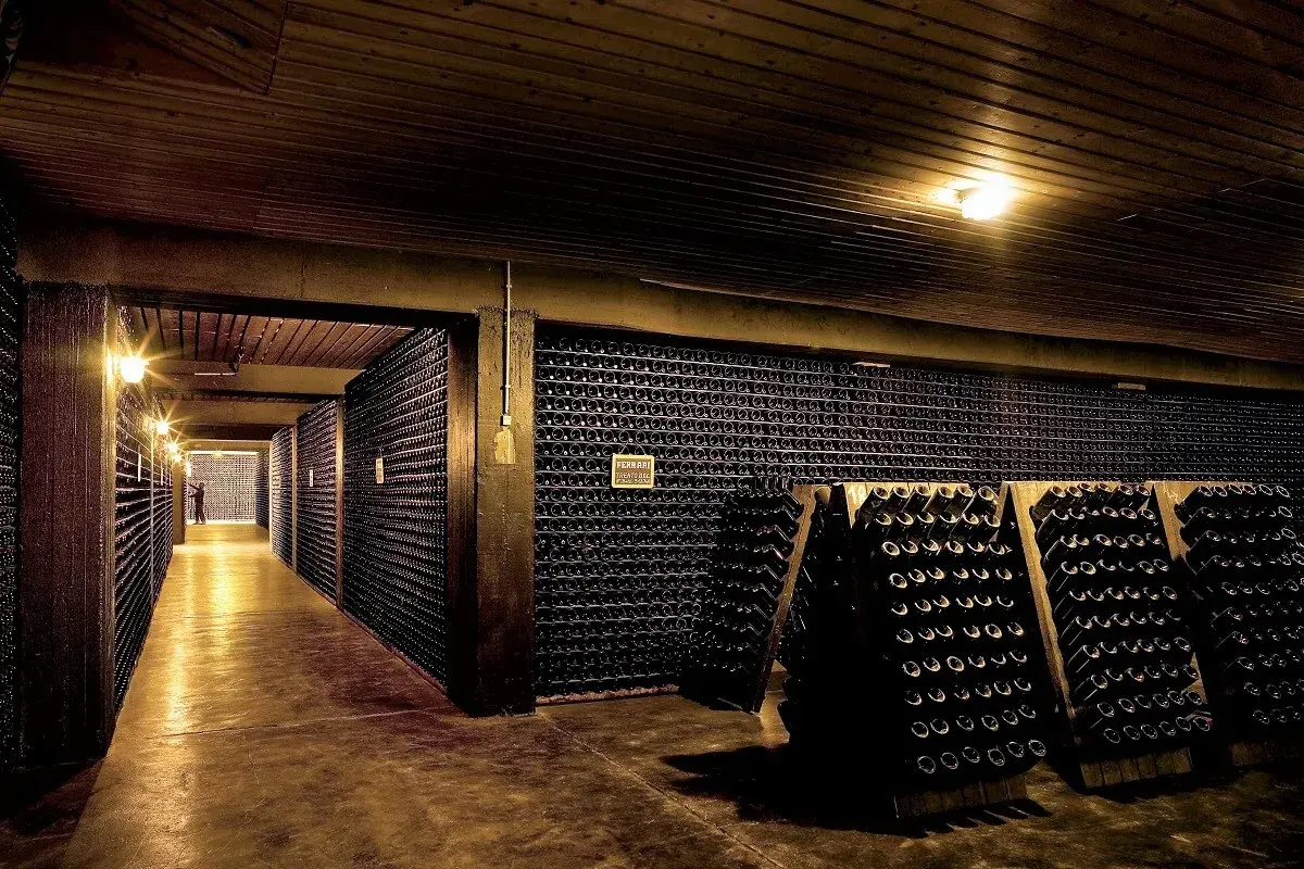 Corridoio di una cantina con migliaia di bottiglie. Un'esperienza indimenticabile per un tour cantine sicilia.