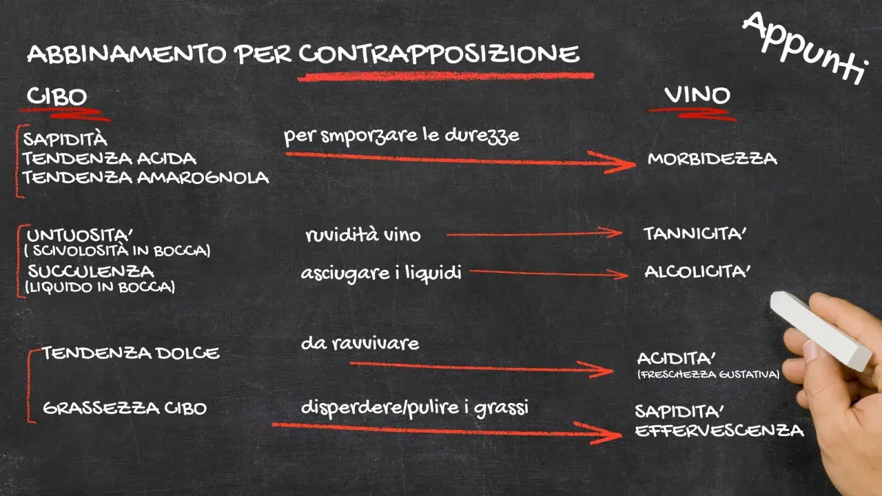 Appunti su food pairing: come abbinare cibo e vino per contrasto, bilanciando sapidità, acidità, untuosità e dolcezza con morbidezza, tannini, alcolicità e freschezza.