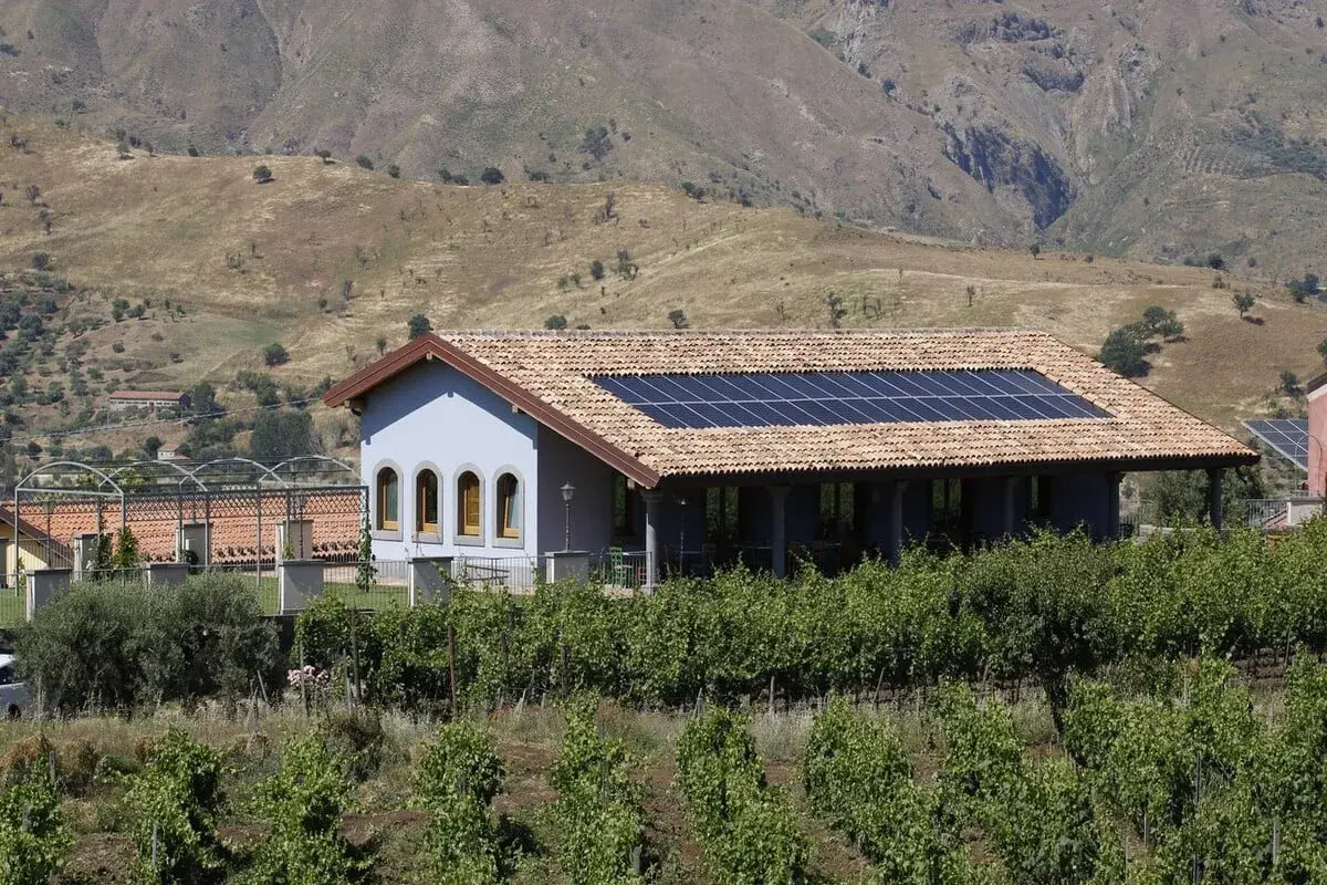 A light blue building with solar panels on its tiled roof sits behind a vineyard, with a dry, hilly landscape in the background.