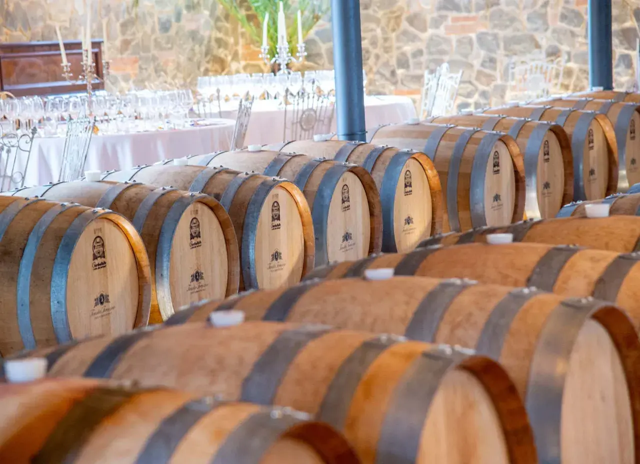 File di botti di legno in una cantina, pronte per l'affinamento. Un'esperienza unica di cantine con pernottamento.