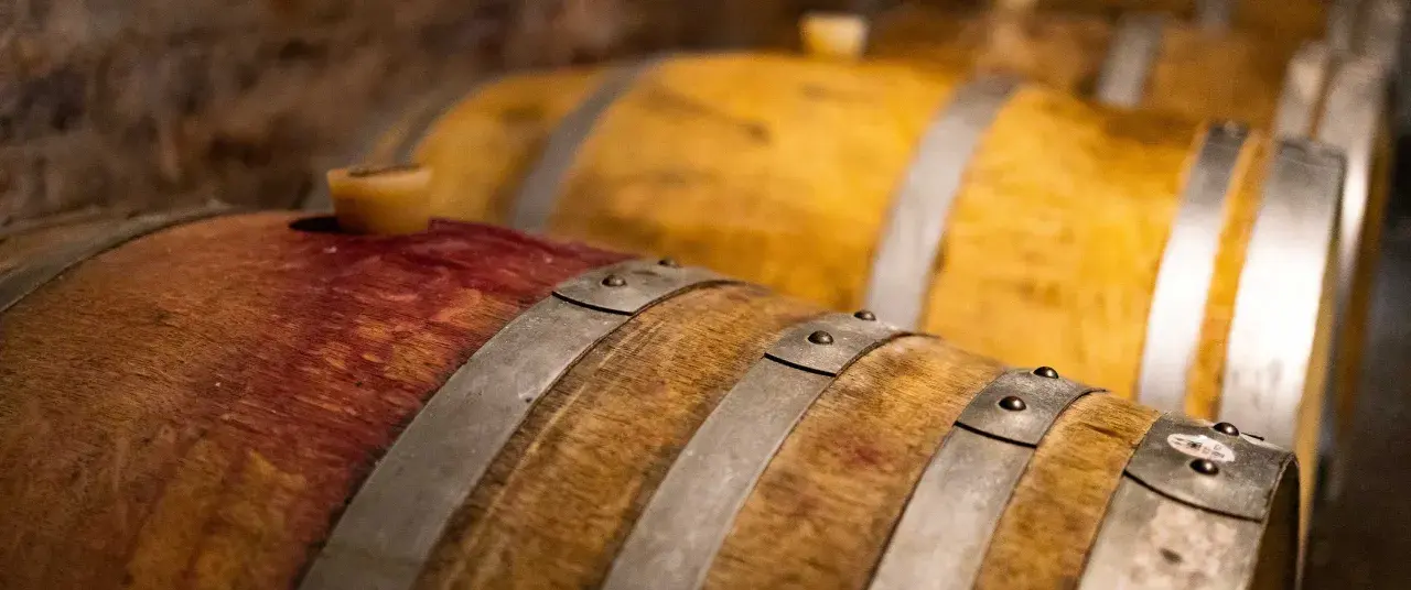 Botti di legno in cantina, pronte per la fermentazione alcolica spiegazione semplice.