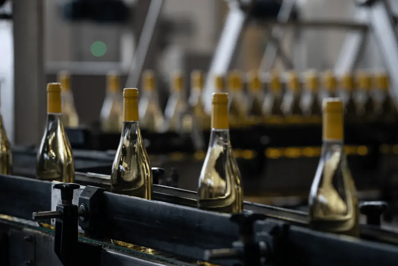 Bottiglie di vino bianco con tappi gialli su un nastro trasportatore, pronte per imbottigliare vino luna.