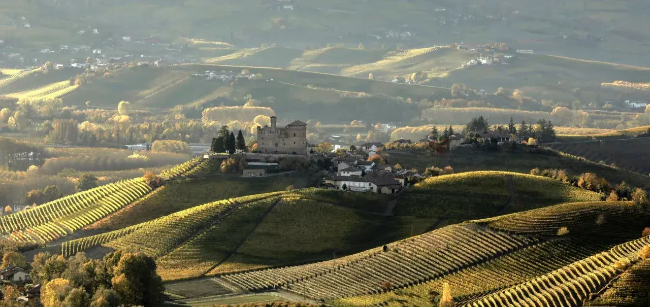 Colline vitate al tramonto, con un castello che domina la **cascina Pugnane**. L'autunno tinge di giallo e verde i vigneti terrazzati.