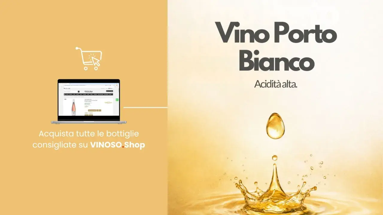 Vino Porto Bianco con alta acidità. Acquista bottiglie consigliate su VINOSO.Shop.