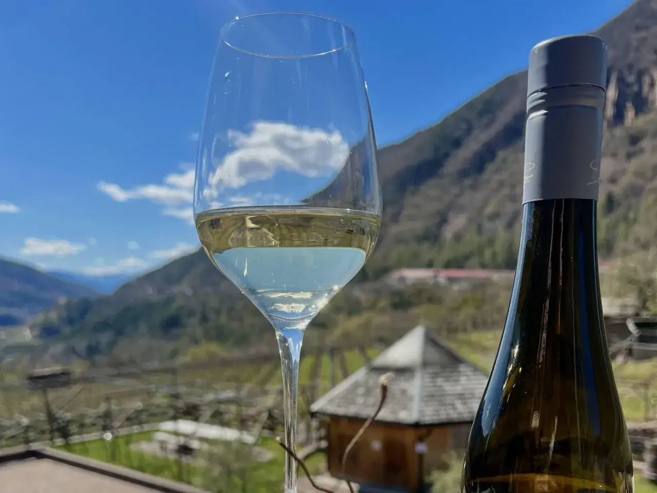 Glass of white wine and bottle with a mountain landscape and blue sky in the background.