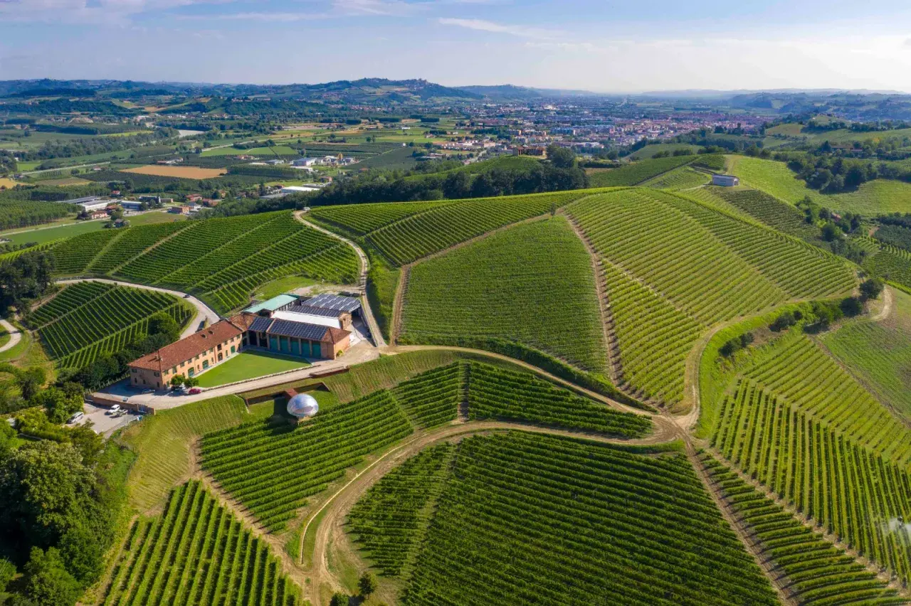 Tenuta Monsordo Bernardina: vigneti a perdita d'occhio sulle colline piemontesi, con un complesso rurale e una moderna struttura in vetro.