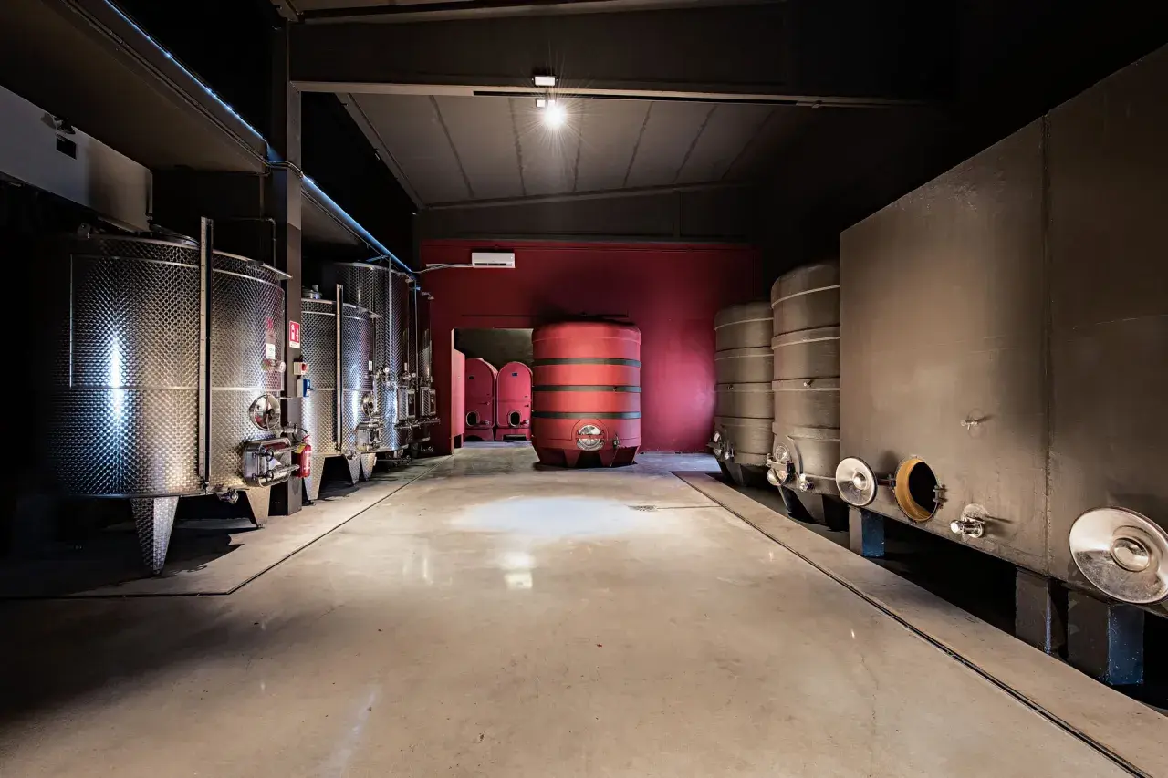 Cantine moderne con serbatoi in acciaio inox e botti, un ambiente pulito e funzionale per la produzione di vino, forse in un rinomato garetto.