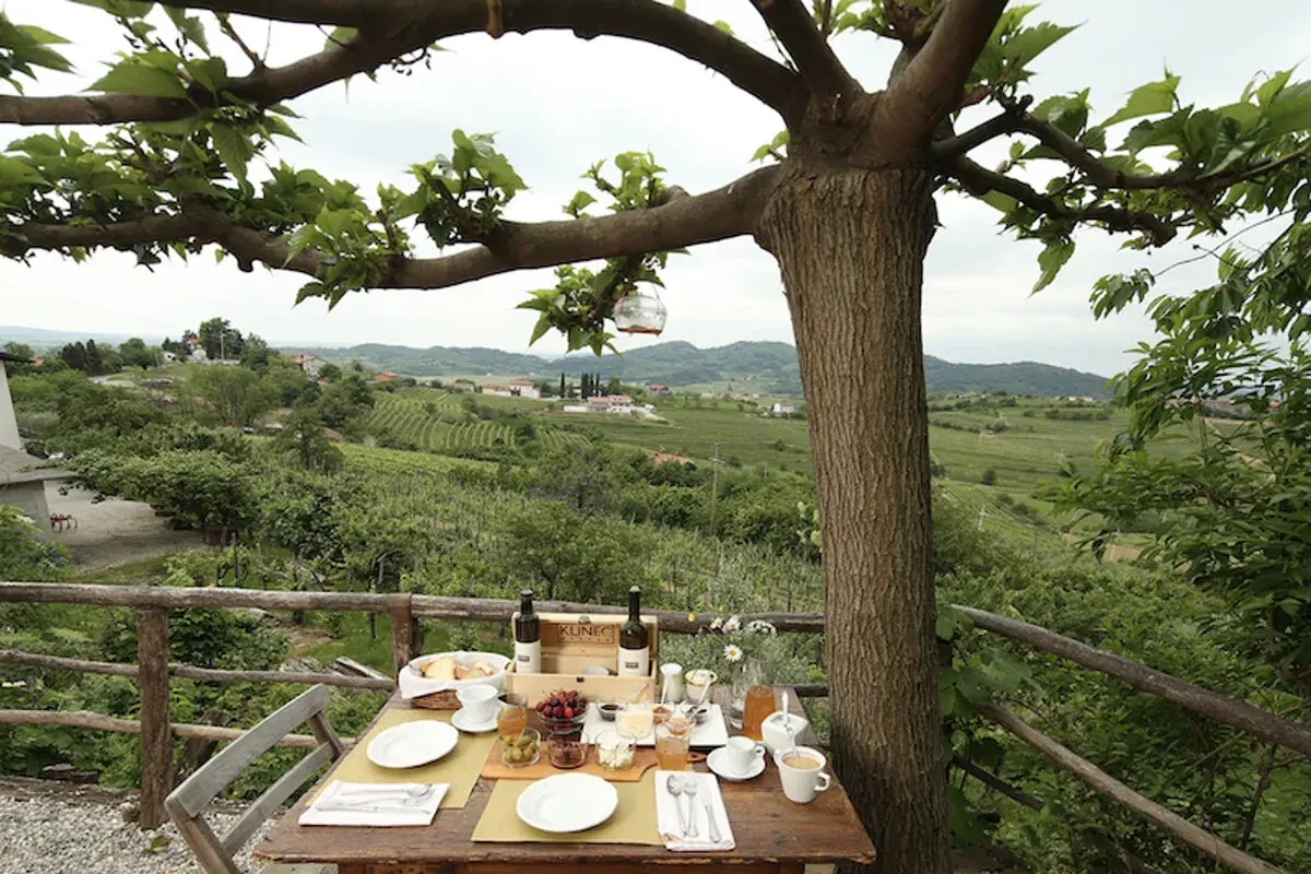 Colazione con vista sui vigneti del Collio, un assaggio delle migliori cantine del collio friulano.