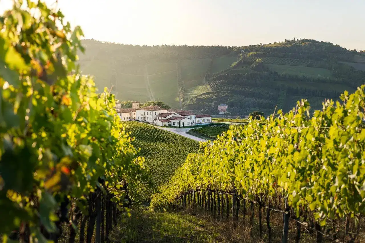 Vigneti rigogliosi incorniciano una tenuta con cantine e possibilità di pernottamento, immersa in un paesaggio collinare al tramonto.