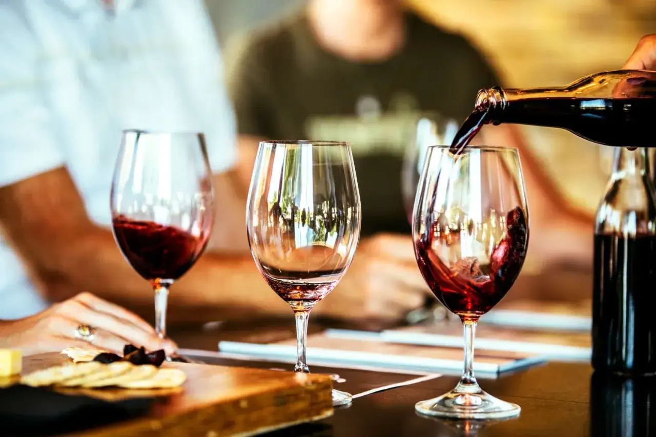 Degustazione di vini rossi, esplorando la differenza tra cabernet franc e cabernet sauvignon.
