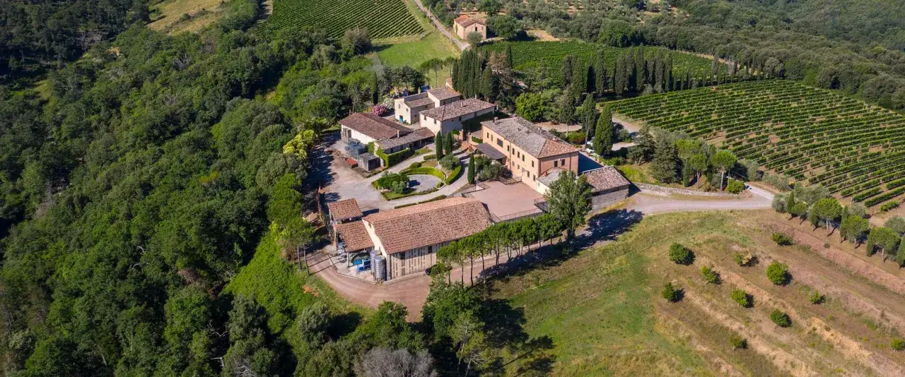 Un'azienda vinicola immersa nel verde, perfetta per una visita cantine Montalcino. Vigneti rigogliosi e casali in pietra.