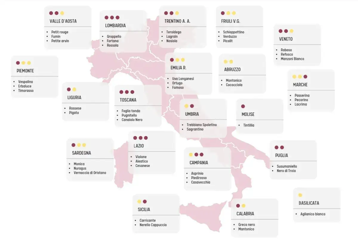 Mappa dell'Italia con i diversi tipi di vitigni per regione, da nord a sud.