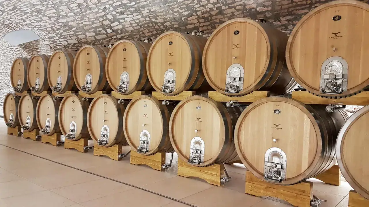 Cantina con file di tonneaux di rovere, pronti ad accogliere il vino per la sua maturazione.