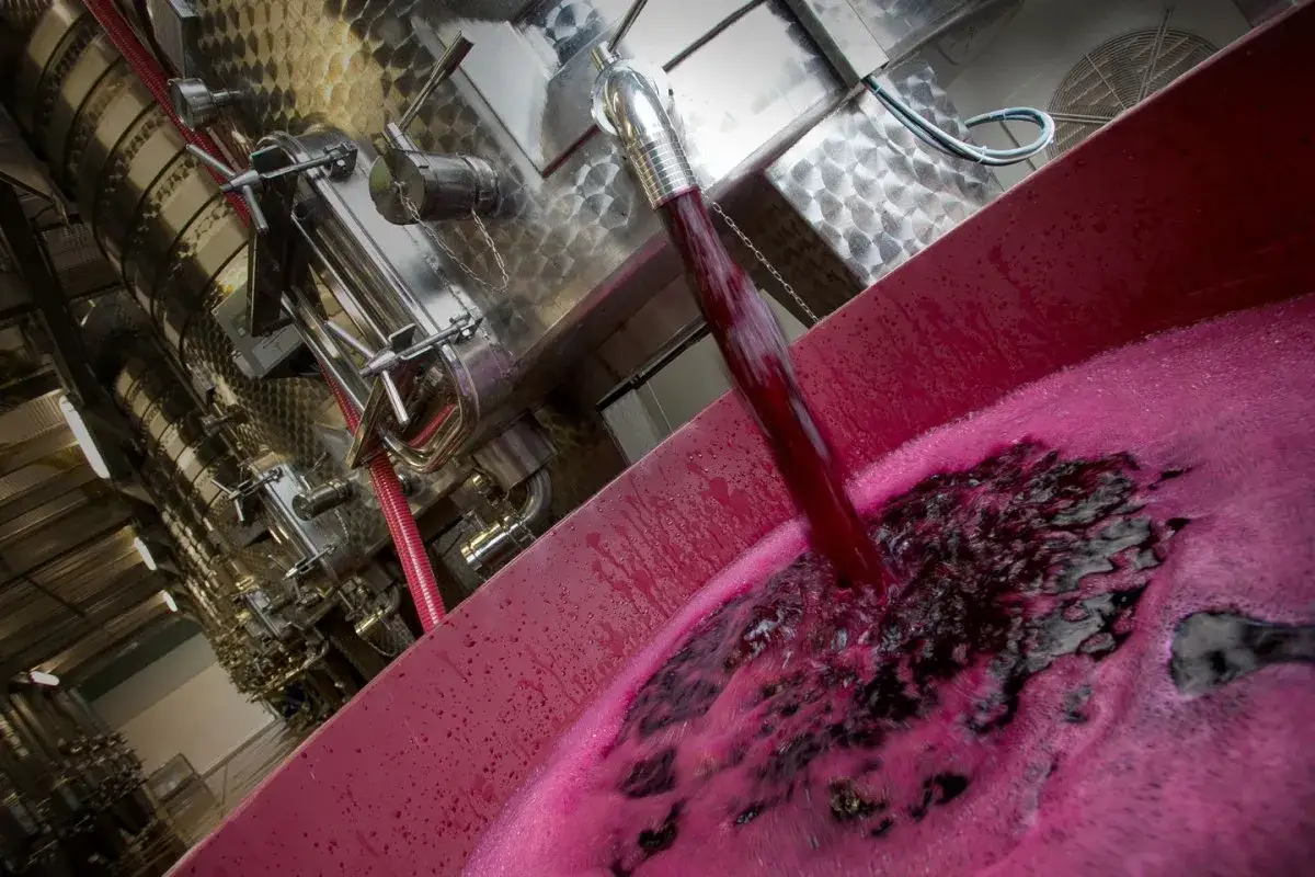 Il mosto rosso intenso scorre da un tubo metallico in una vasca, creando schiuma e vortici. Si intravedono serbatoi in acciaio inox e tubazioni, parte del processo di vinificazione, dove la feccia del vino è ancora presente.