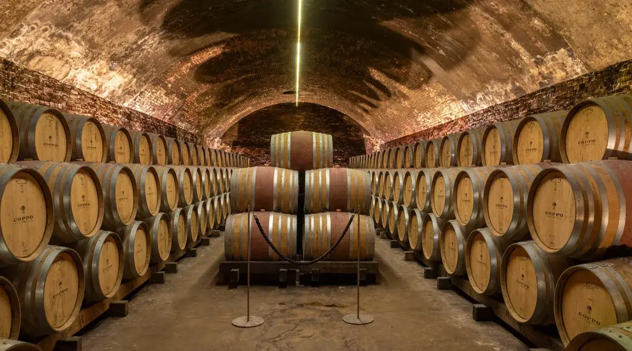 Le cattedrali sotterranee di Canelli, un'infinità di botti di legno in un ambiente suggestivo e antico.
