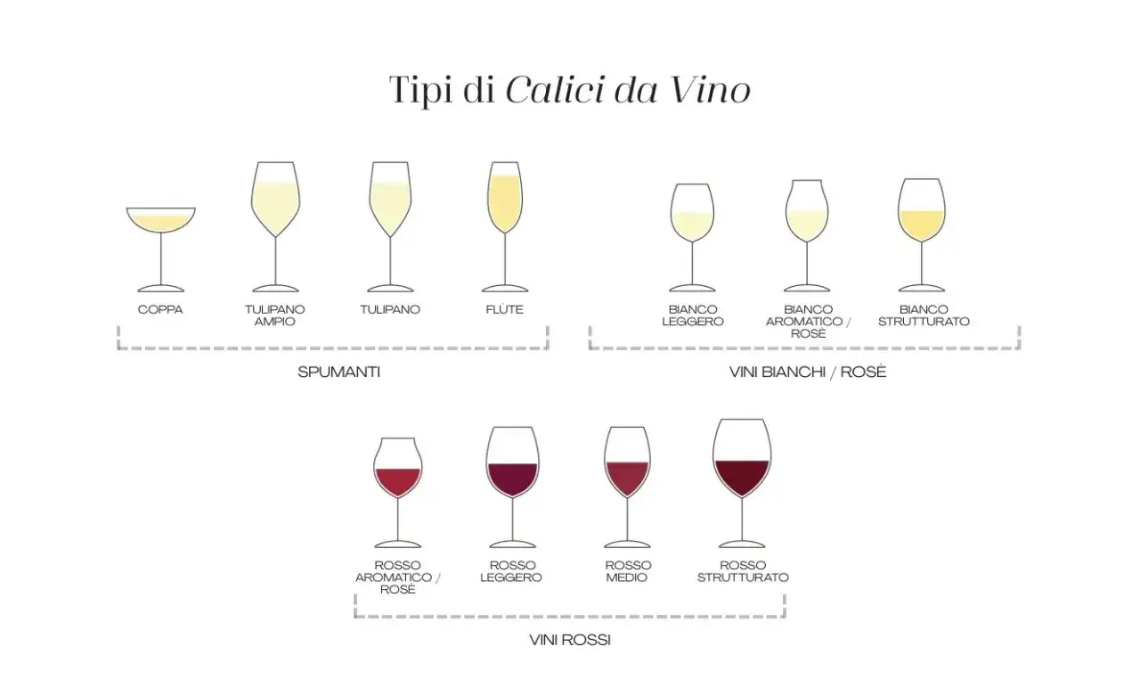 Diversi calici da vino: coppa, tulipano, flute per spumanti e bianchi; calici per vini rossi, incluso il rosso strutturato.