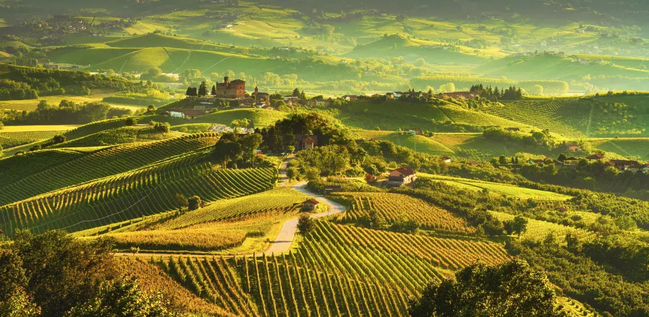 Colline delle Langhe illuminate dal sole, con vigneti che promettono una degustazione di Barolo indimenticabile.