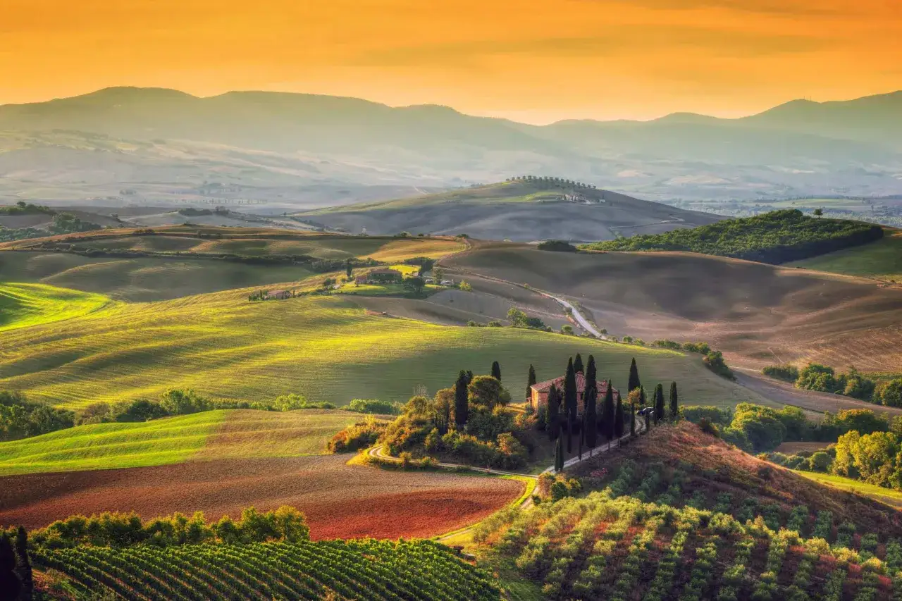 Dolci colline toscane illuminate dal tramonto, con filari di vigneti del Chianti che si estendono a perdita d'occhio.