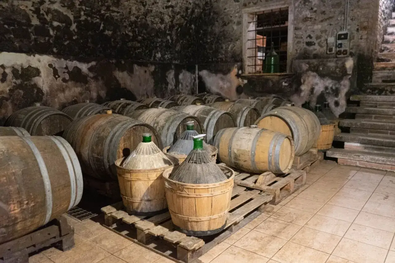 Cantina con botti di legno e damigiane, pronte per l'affinamento del vino.