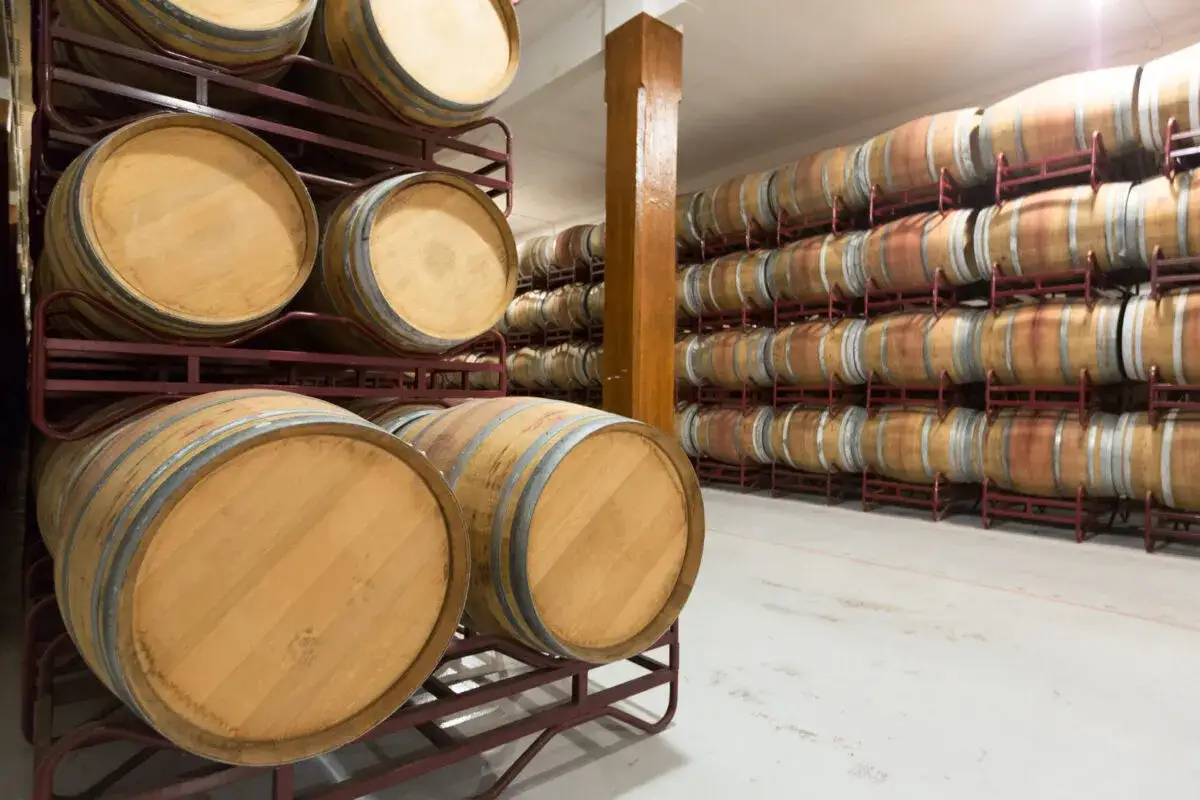 Cantina con file di barrique di vino in legno, pronte per l'affinamento.