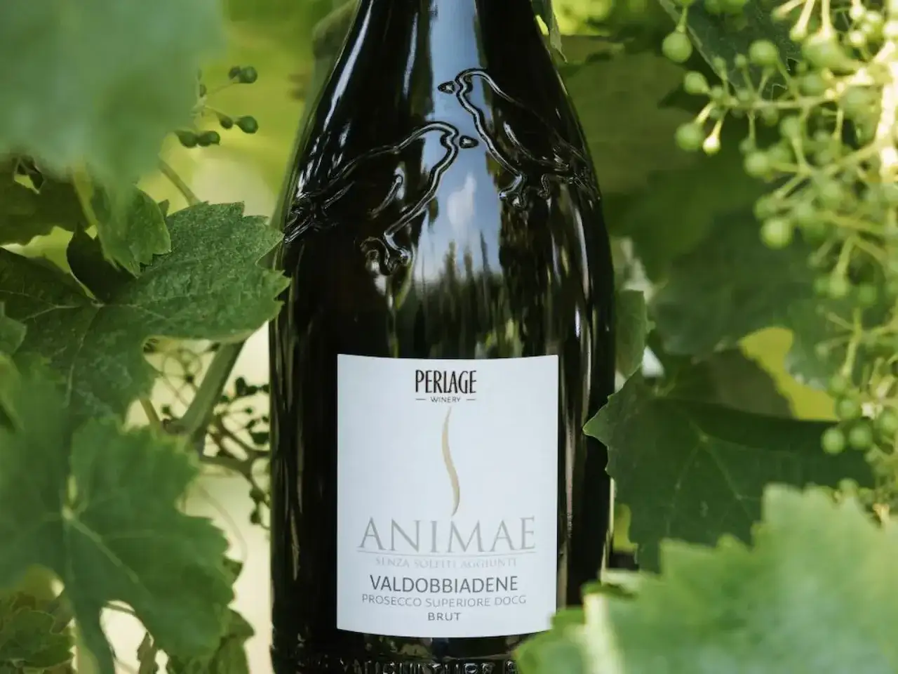 Bottiglia di Valdobbiadene Prosecco Superiore DOCG Brut