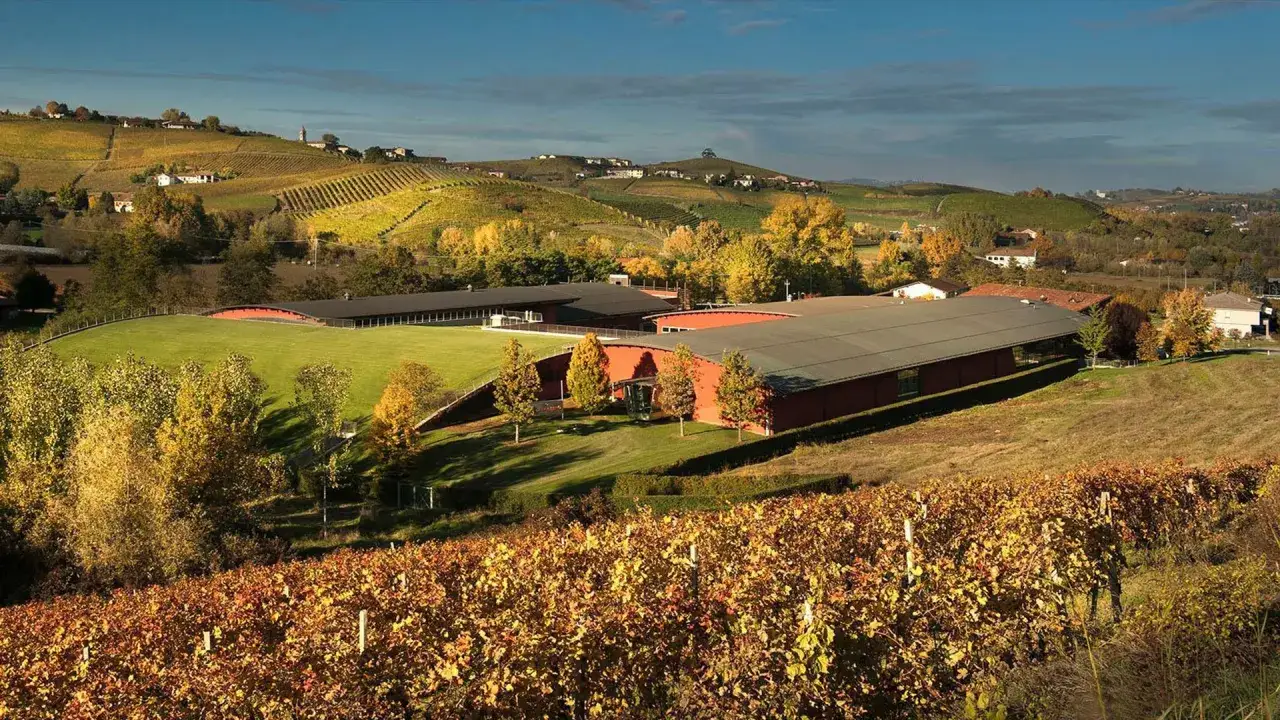 Paesaggio autunnale con filari di vite colte, colline verdi e un moderno edificio vinicolo.