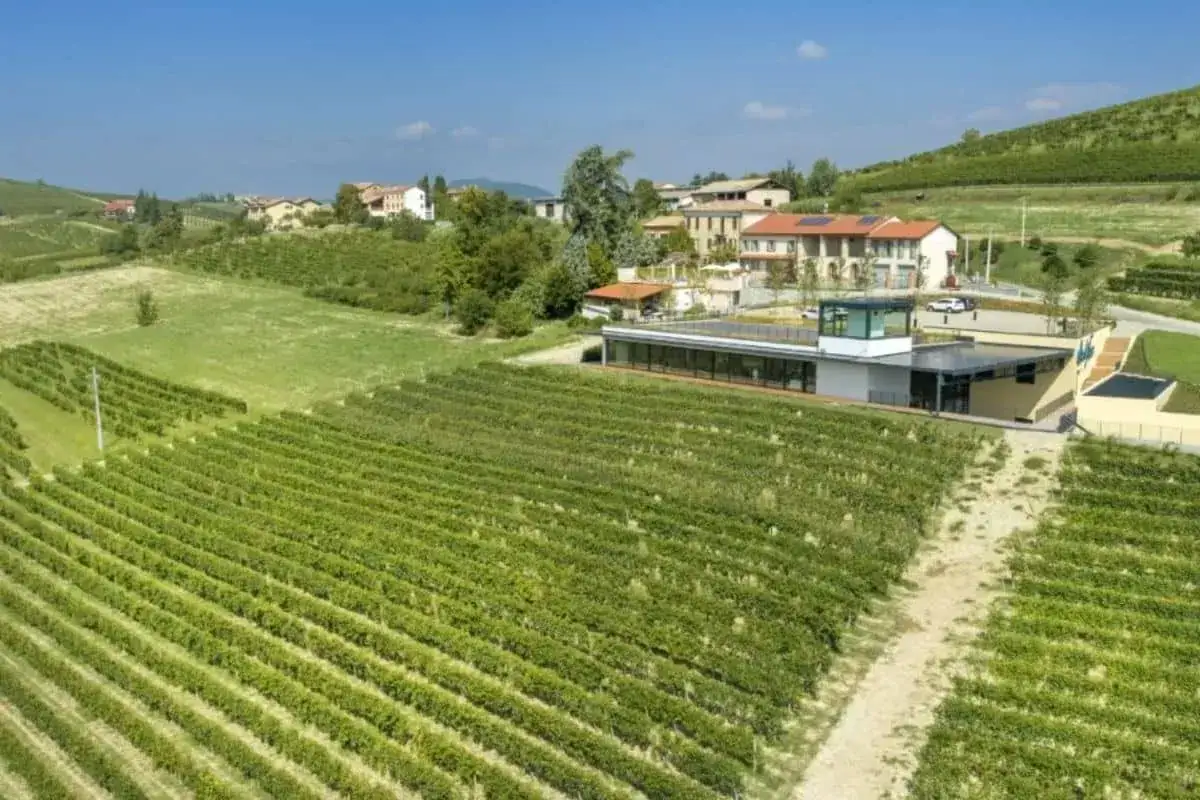 Vigneti rigogliosi circondano la moderna cantina Ca del Bric, immersa nel paesaggio collinare.