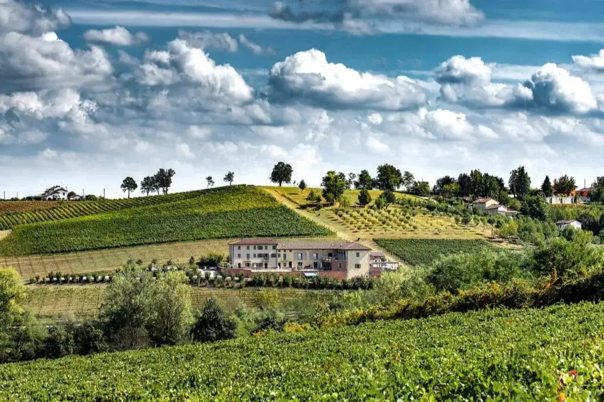 Dolce soggiorno tra i vigneti del Piemonte, con cantine e pernottamento immersi nel verde.