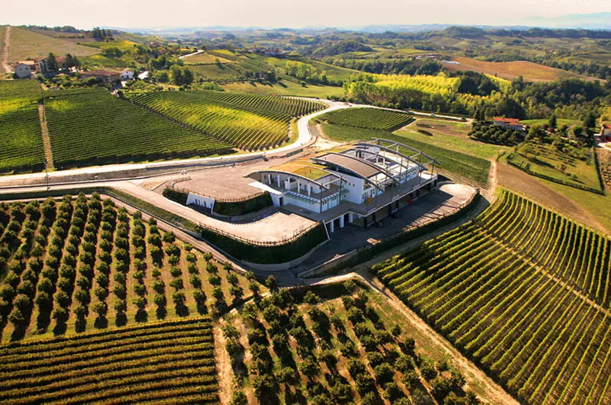 Cantina moderna immersa tra i vigneti delle Langhe, un paesaggio che evoca la qualità dei vini di Domenico Clerico.