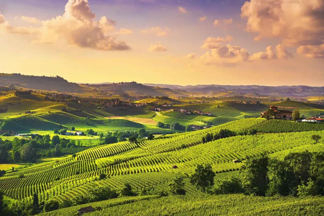 Colline verdi e ondulate, vigneti ordinati e casali pittoreschi invitano a visitare Langhe sotto un cielo dorato.