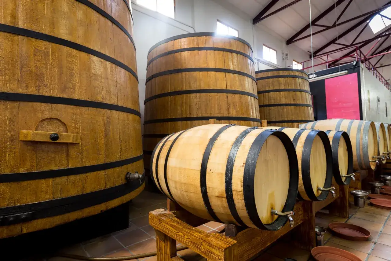 Grandi botti di legno in cantina, dove il boisè significato si rivela nel profumo del vino che invecchia.