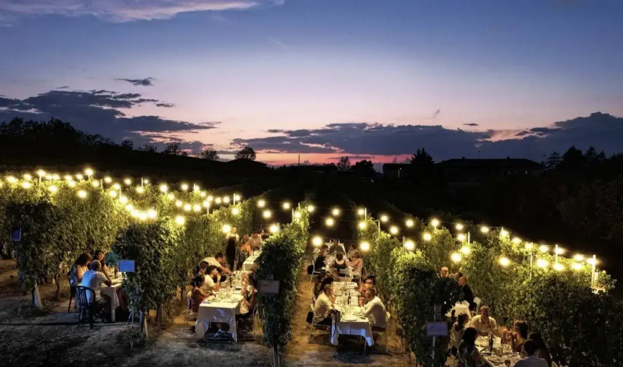 Serata magica con un pranzo in vigna nel Monferrato, illuminato da lucine soffuse tra i filari al tramonto.