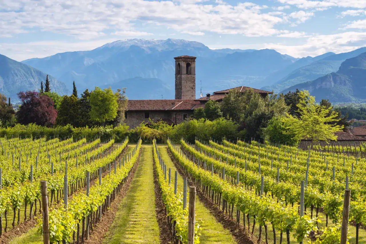 Vigneti rigogliosi e un antico borgo con torre, ideali per una visita cantine Franciacorta con pernottamento.