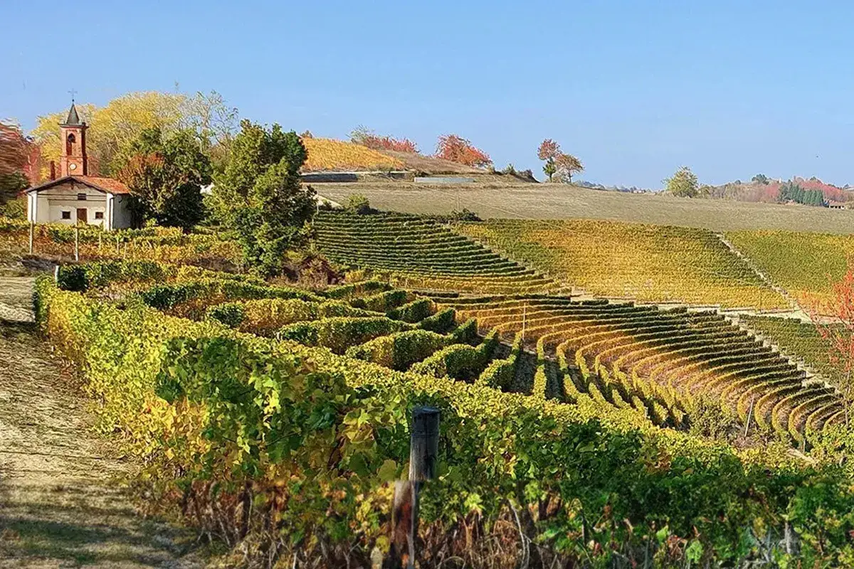 Vigneti autunnali con colori dorati e verdi, una piccola casa con campanile e la cantina Anna Maria Abbona sullo sfondo.