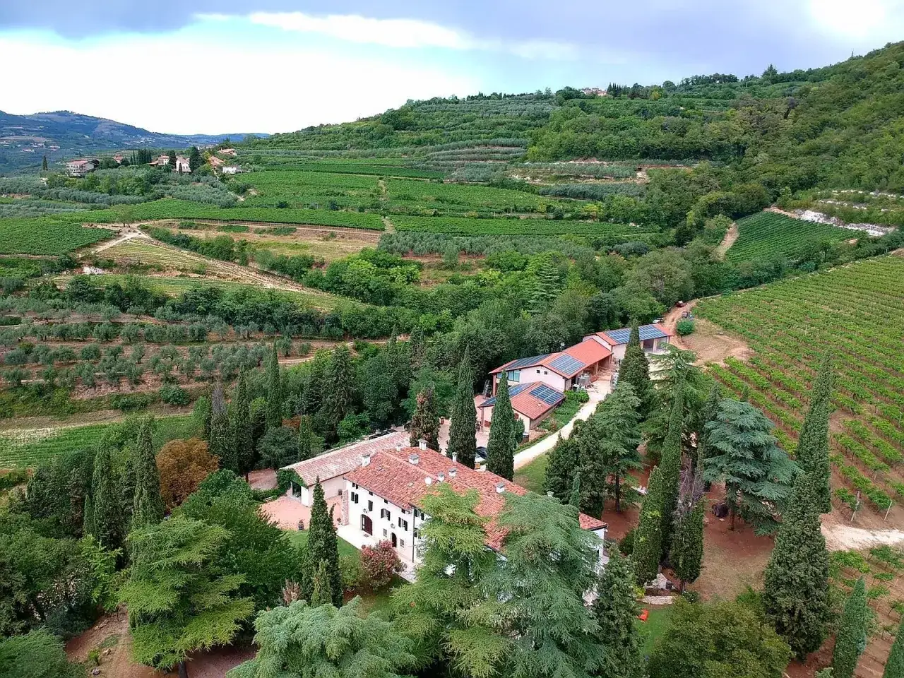 Un casale immerso tra vigneti e uliveti in Valpolicella, ideale per dormire in cantina e scoprire i sapori locali.
