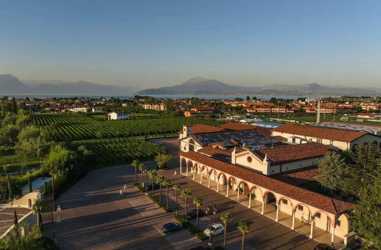 Vista aerea delle cantine a Sirmione, con vigneti rigogliosi e il lago sullo sfondo.