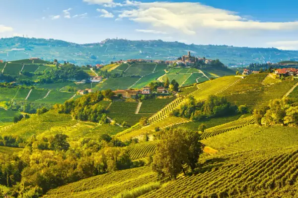 Colline ondulate ricoperte di vigneti dorati, con borghi arroccati in lontananza. Un invito a visitare Langhe e scoprire la sua bellezza.